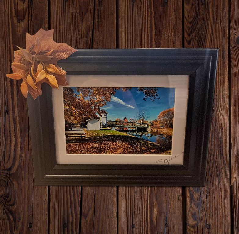 Mishler Framed Canal Print