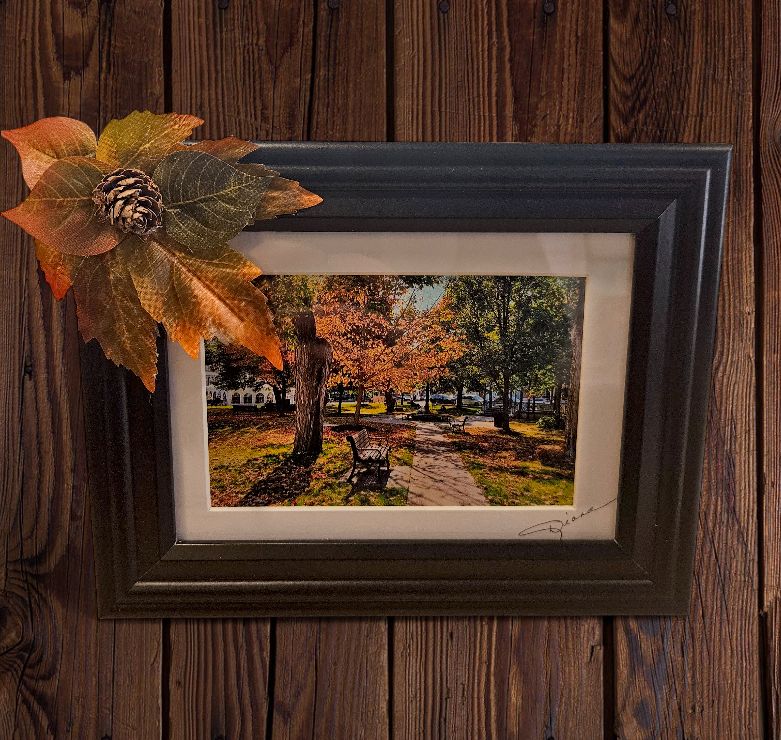 Mishler Framed Park Bench in Fall