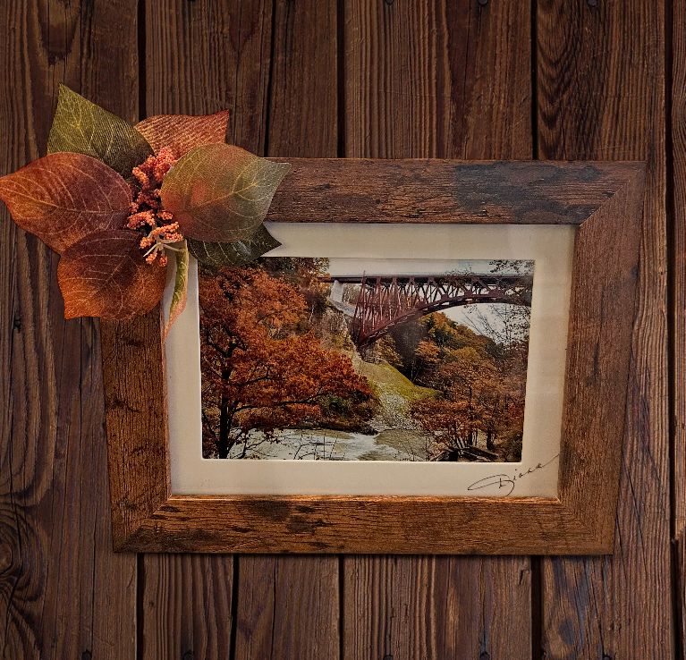 Mishler Framed Letchworth Fall Tree