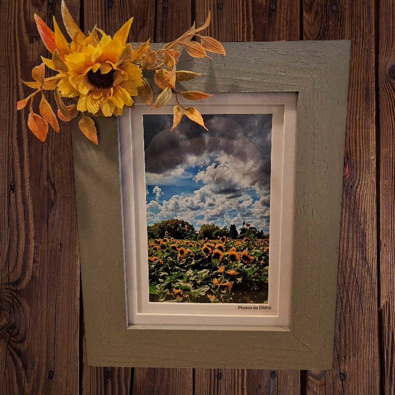 Mishler Framed Vertical Sunflowers