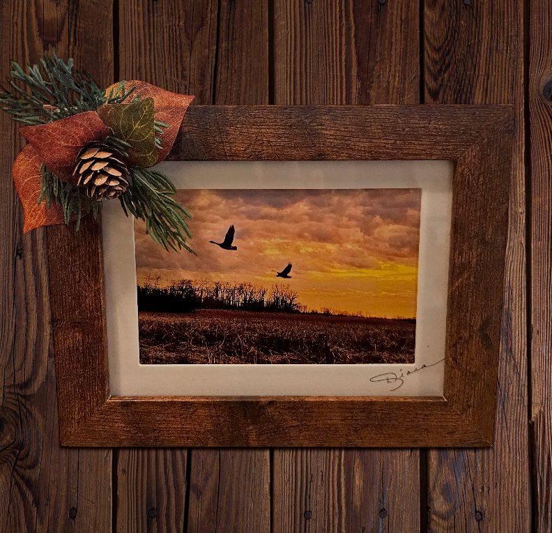 Mishler Framed Birds at Sunset