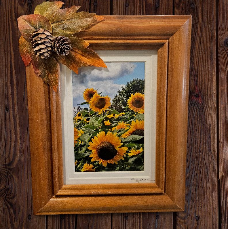 Mishler Framed Autumn Sunflowers