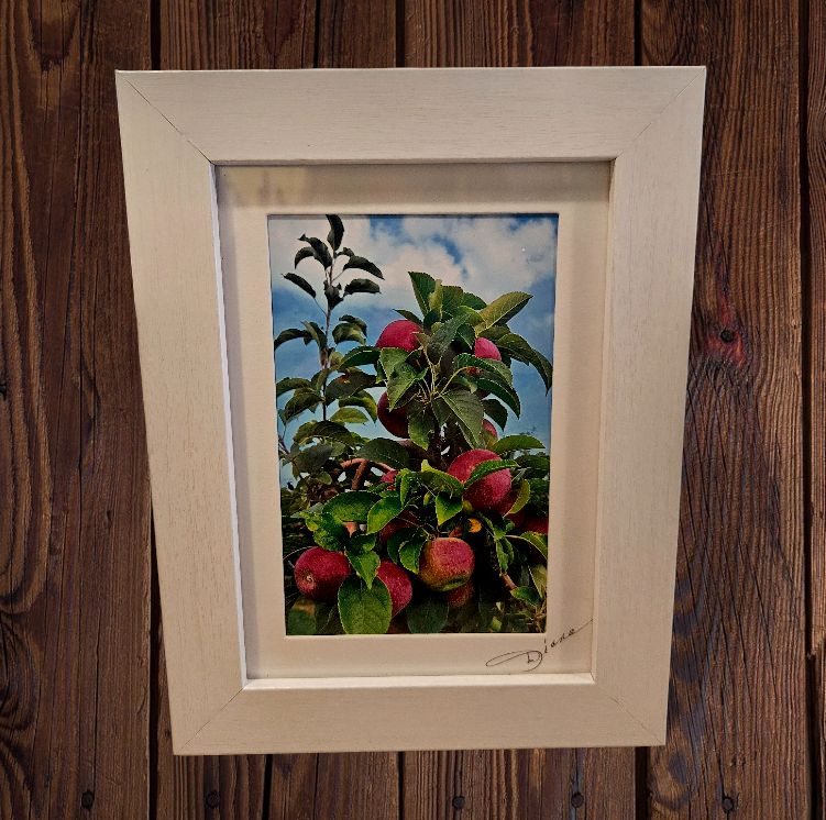 Mishler Framed Apple Tree