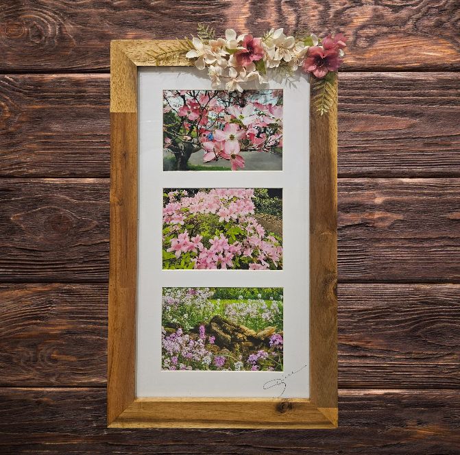 Mishler Framed Triple Spring Bloom Print
