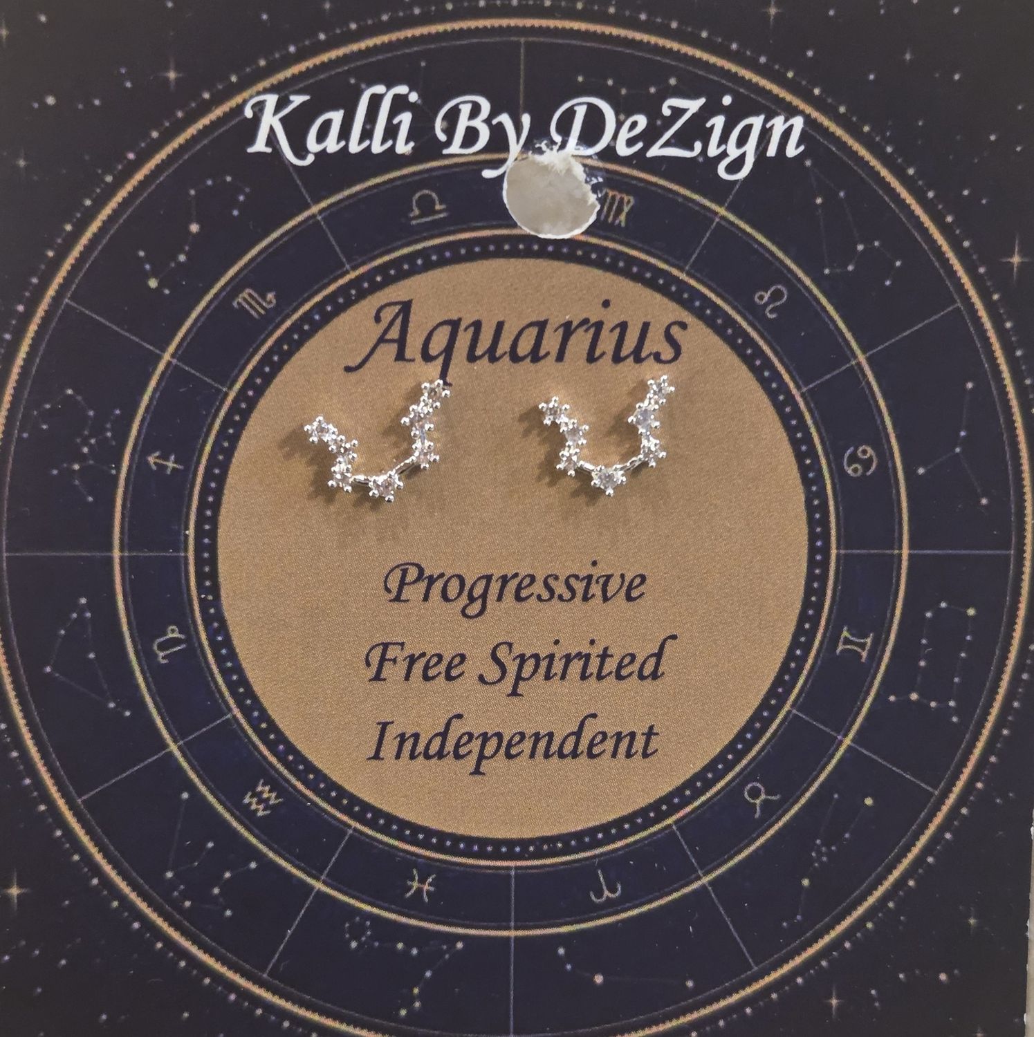 Kalli Earrings Silver Tone Aquarius