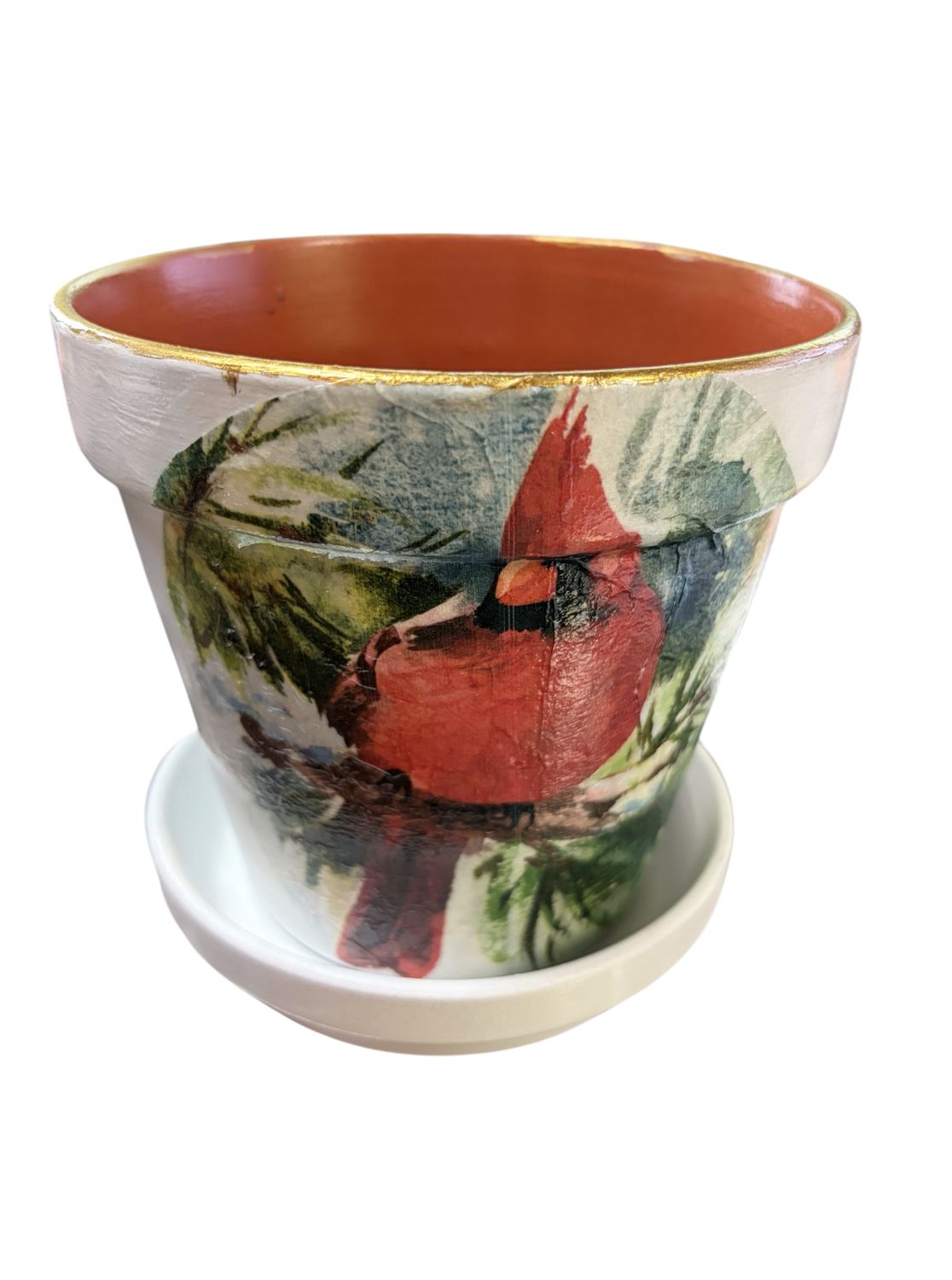 Wilson Planter Male Cardinal