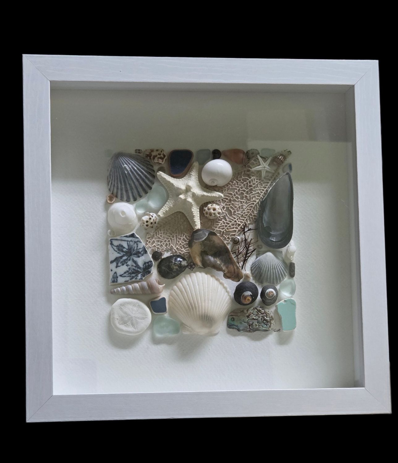 Pike Original Seashell Collage 9x9