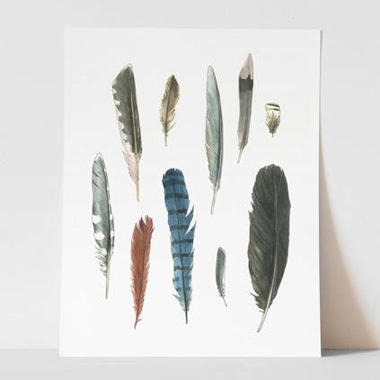 Vitticore Print Backyard Feathers 8x10