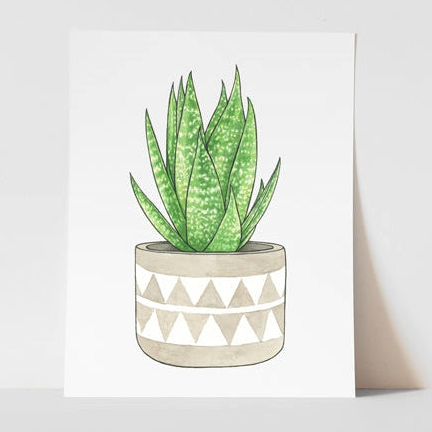 Vitticore Print Aloe 5x7