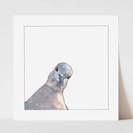 Vitticore Print Curious Pigeon 5X5