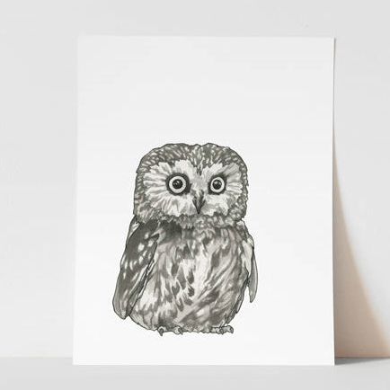 Vitticore Print Boo the Saw-Whet Owl 5X7