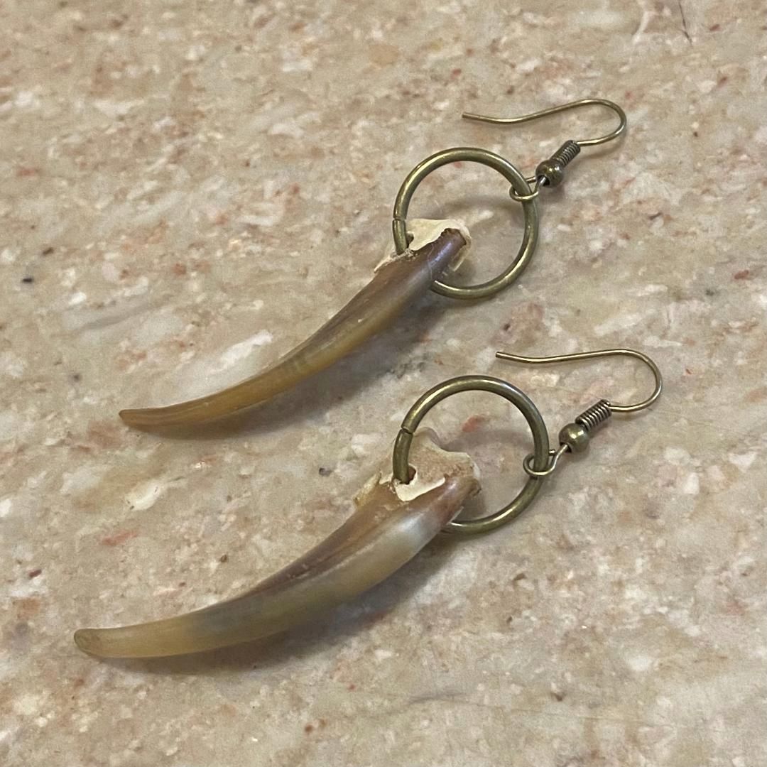 Ormsby Earring Badger Claws