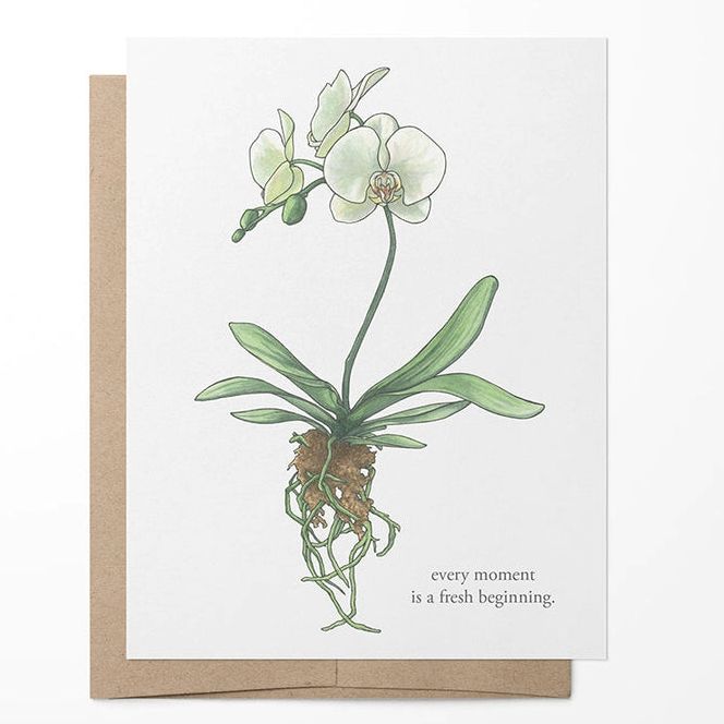 Vitticore Greeting Card White Orchid