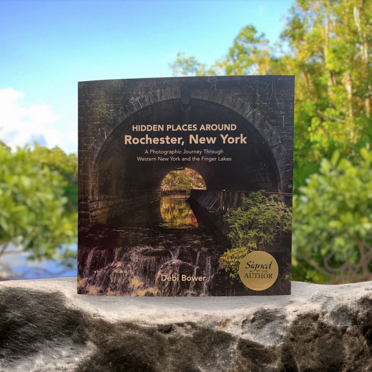 Hidden Places Around Rochester, New York by Debi Bower