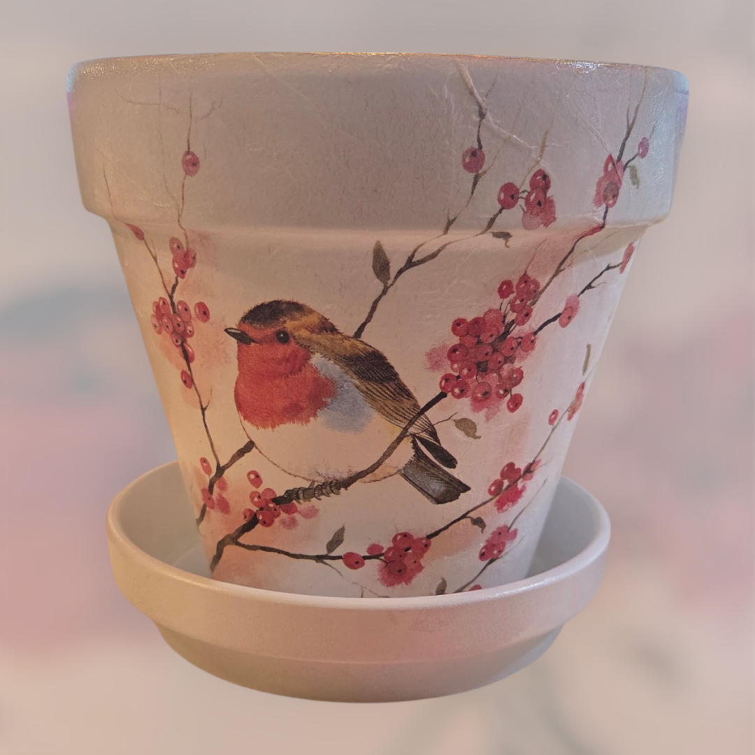 Wilson Planter Bird on Berry Branch