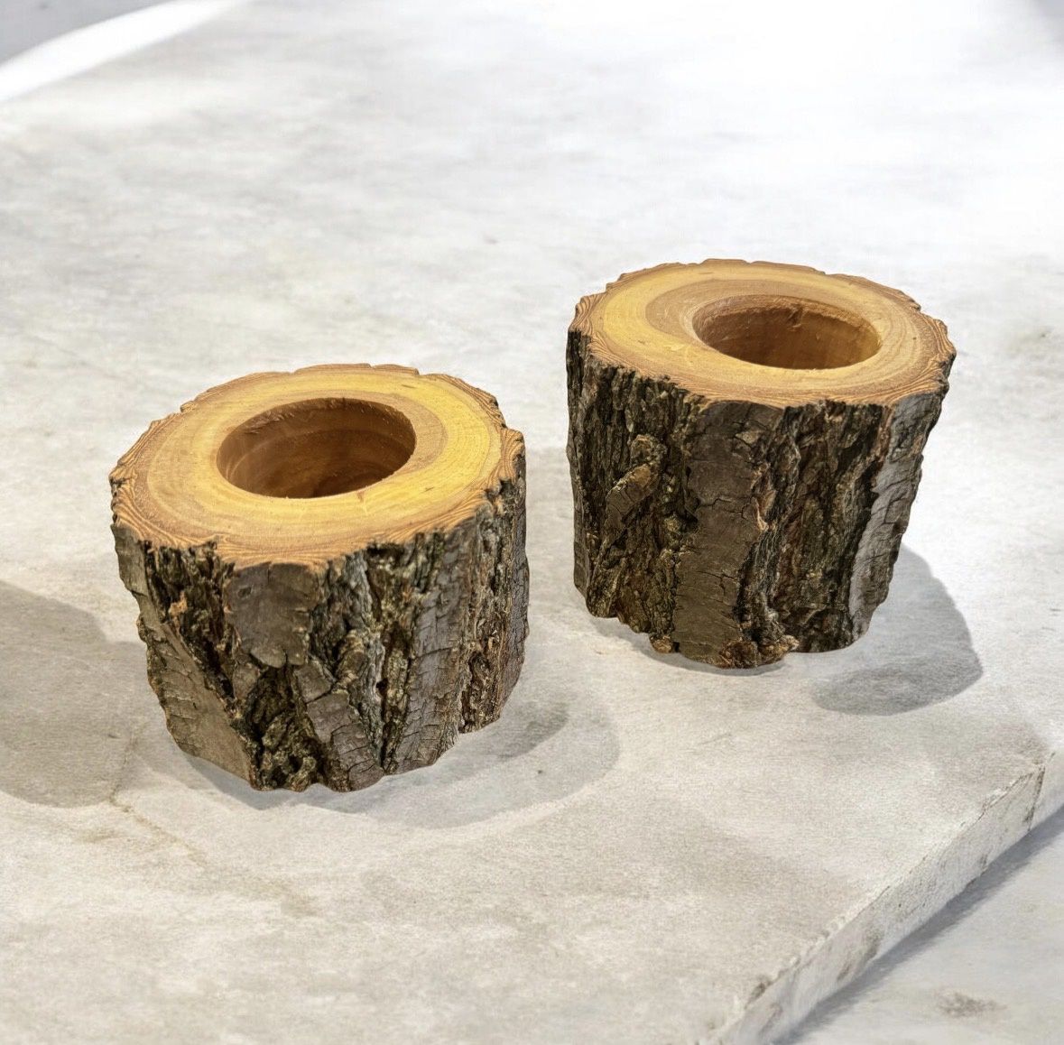 On The Edge 2 Piece Red Oak Stump Succulent Planter