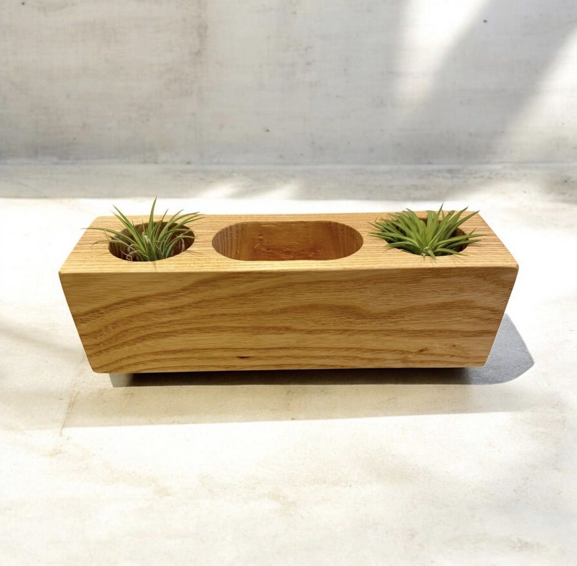 On The Edge White Ash Wood Succulent Planter