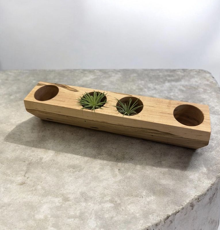 On The Edge Ambrosia Maple Succulent Planter