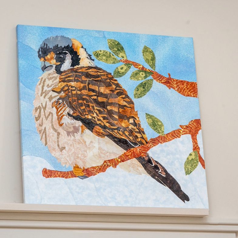 Yvonne American Kestrel