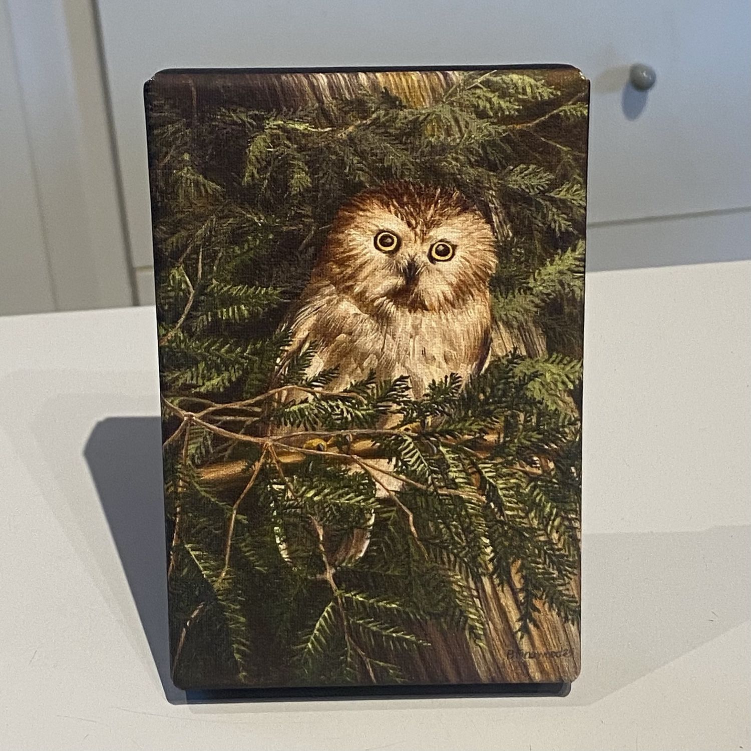 Finewood Owl in Tree Canvas Print