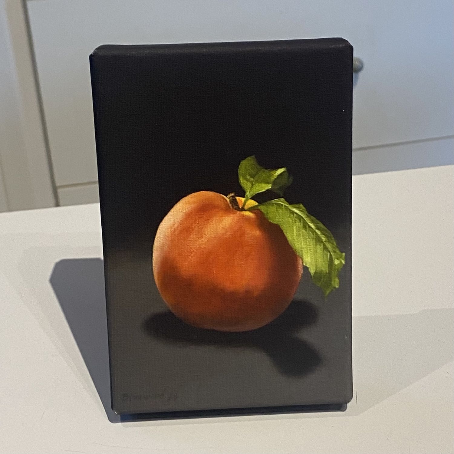 Finewood Peach Canvas Print