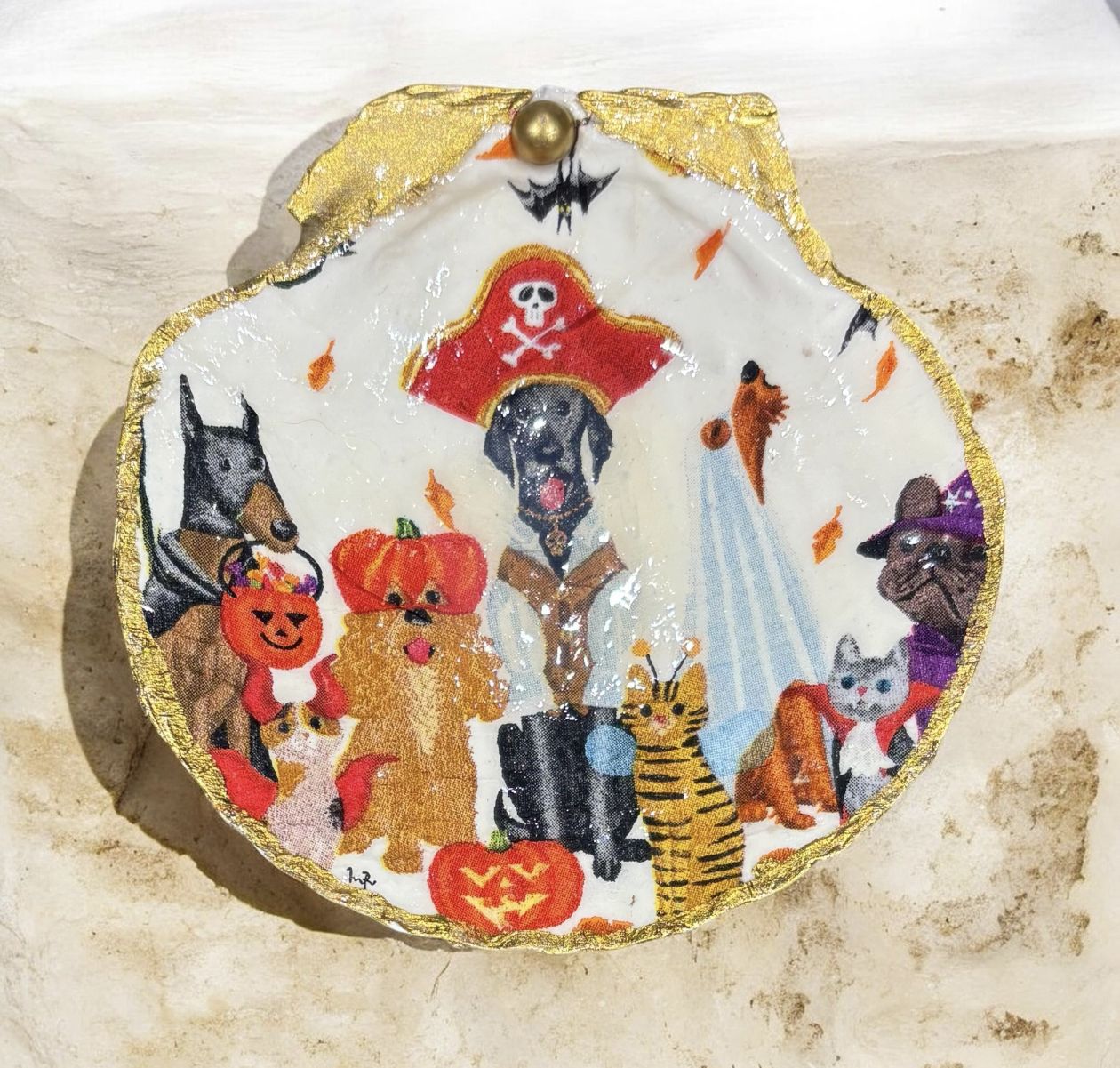 Wilson Scallop Shell Trinket Dish Pirate Pups