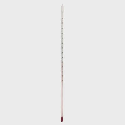 HS Glass Thermometer