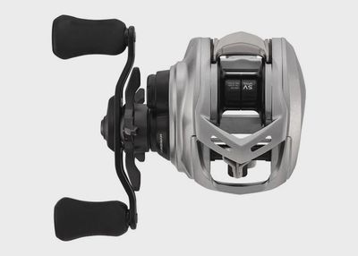 Daiwa 21 Alphas SV TW800H Baitcast Reel