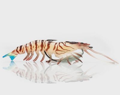 Flick Prawn Heavy 125