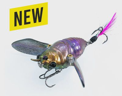 Ripple Cicada 55