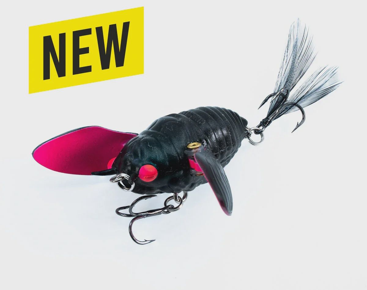 Ripple Cicada 55, Colour: Shadow Pink
