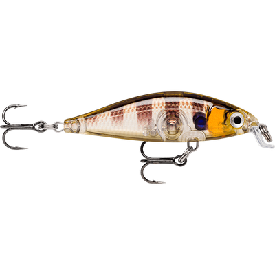 Rapala X-Light Minnow 05