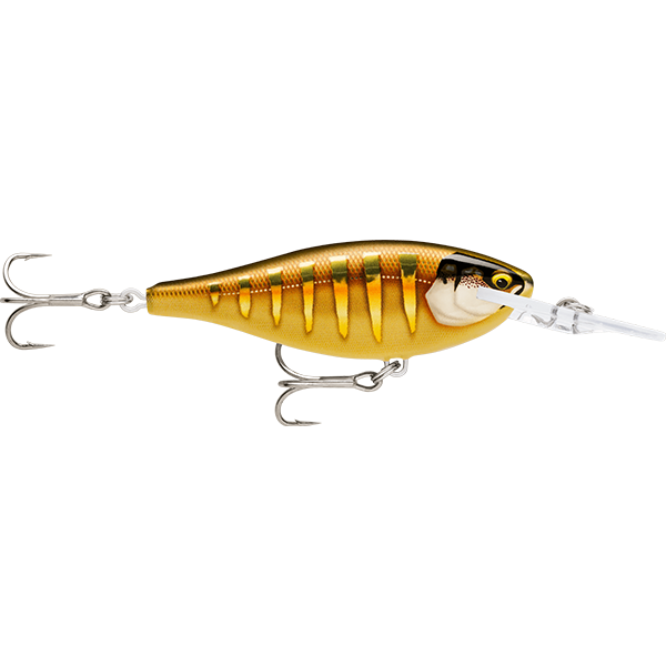 Shad Rap Elite 95, Colour: Gilded Striped Grey Shiner