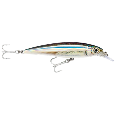 Rapala Saltwater X-Rap 10cm