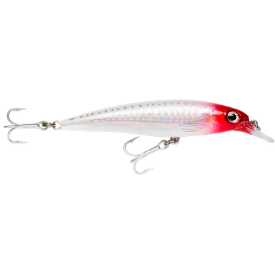 Rapala Saltwater X-Rap 14 cm