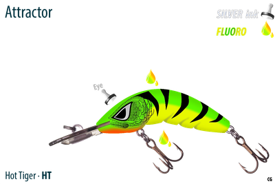 Boomerang 65 Medium