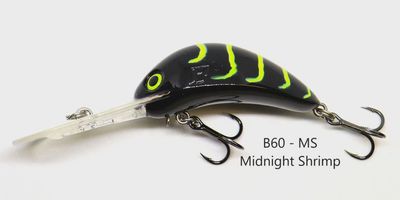 Barambah B60 Diver
