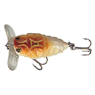 Buggi Popper 35