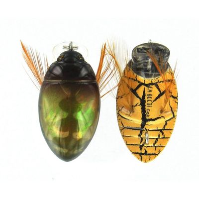 GT Bug 35