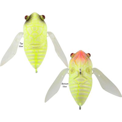 Hardz Cicada 47