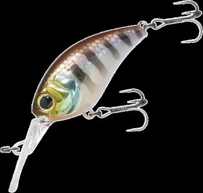 Mushbob 50MR Lure