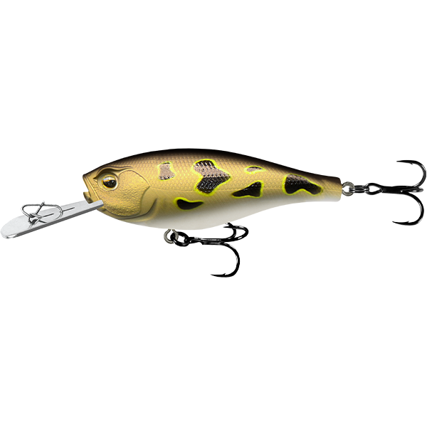 Jabber Shad 70 Deep, Colour: Brown Frog UV