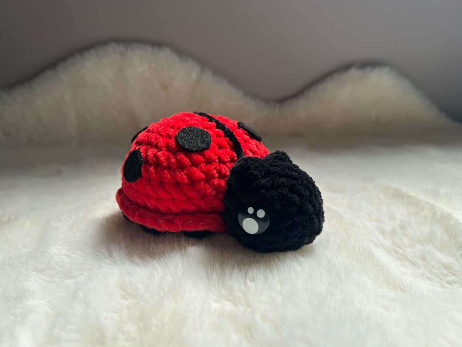 Coccinelle