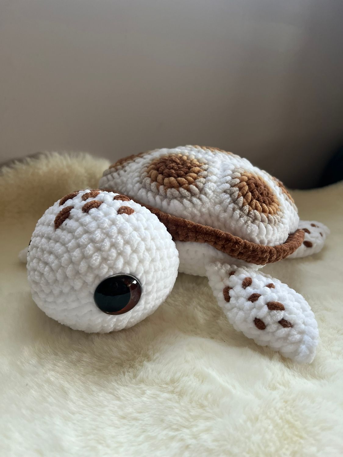 Tortue brune