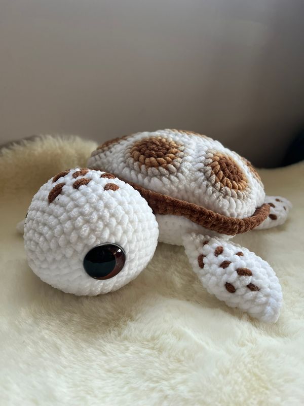 Tortue brune