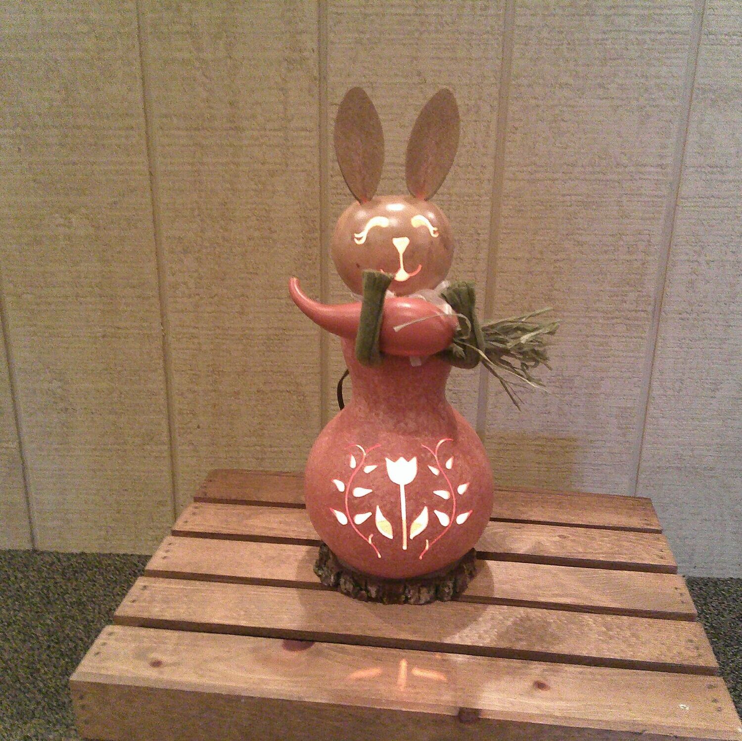 Carrot Bunny Gourd