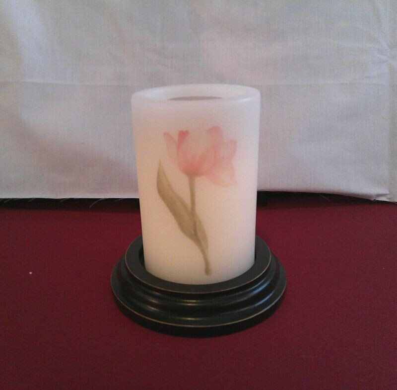 Pink Tulip