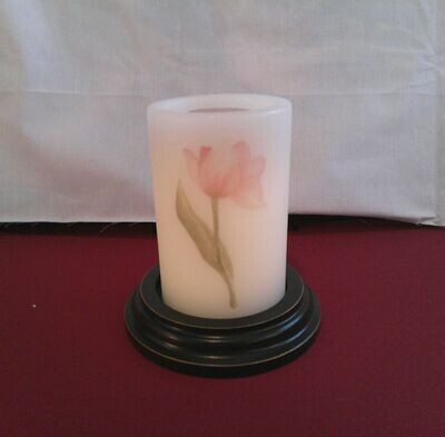 Pink Tulip