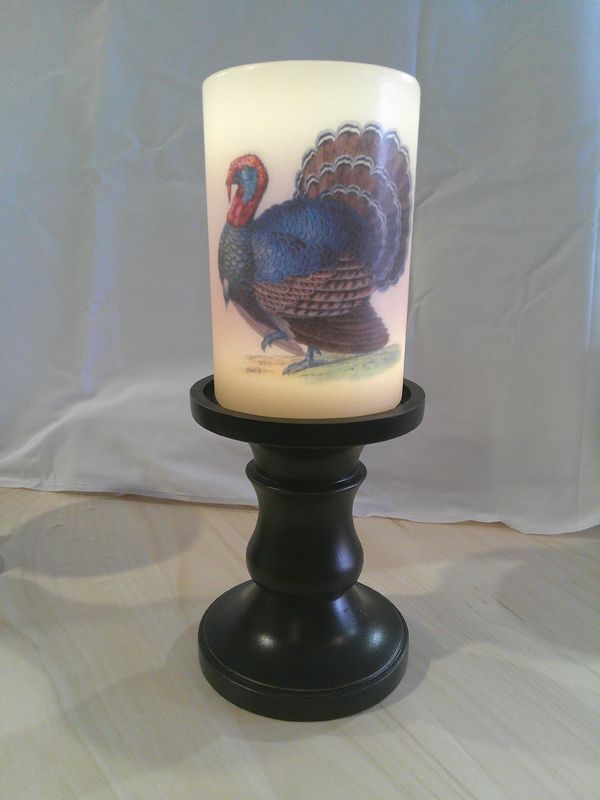 Blue Tom Turkey