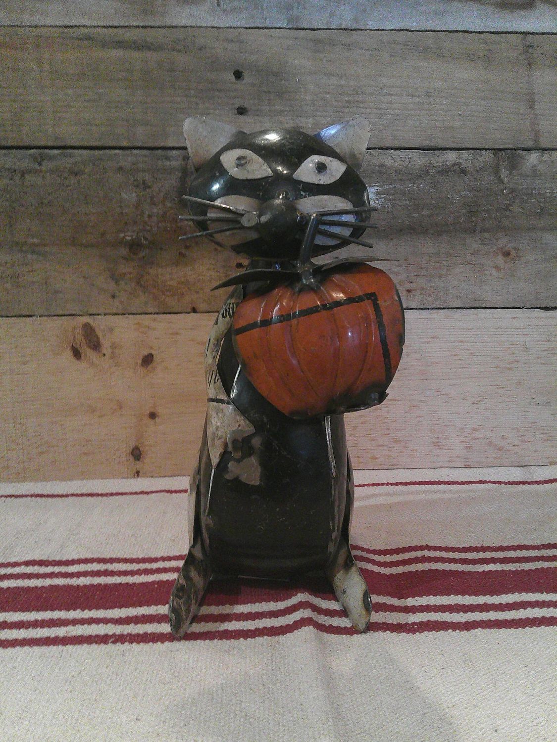Cat & Pumpkin